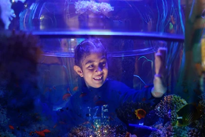 Legoland Discovery Centre Aquarium Attraction
