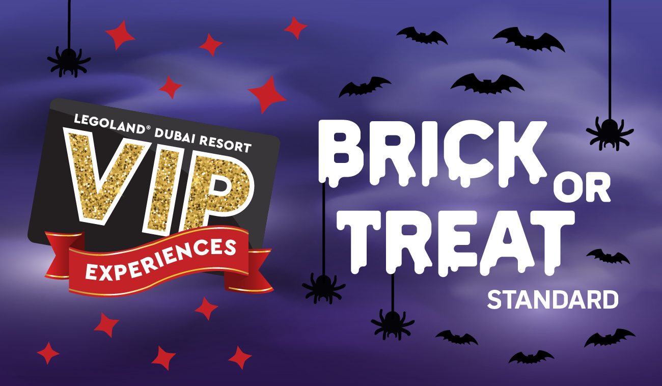 VIP Experience - Brick or Treat - Standard