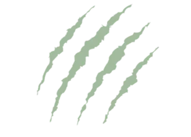 Background Img