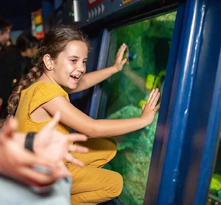 Details Pages Banner Details Pages Banner