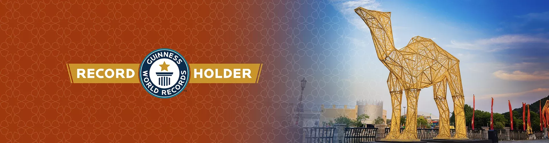 Details Pages Banner