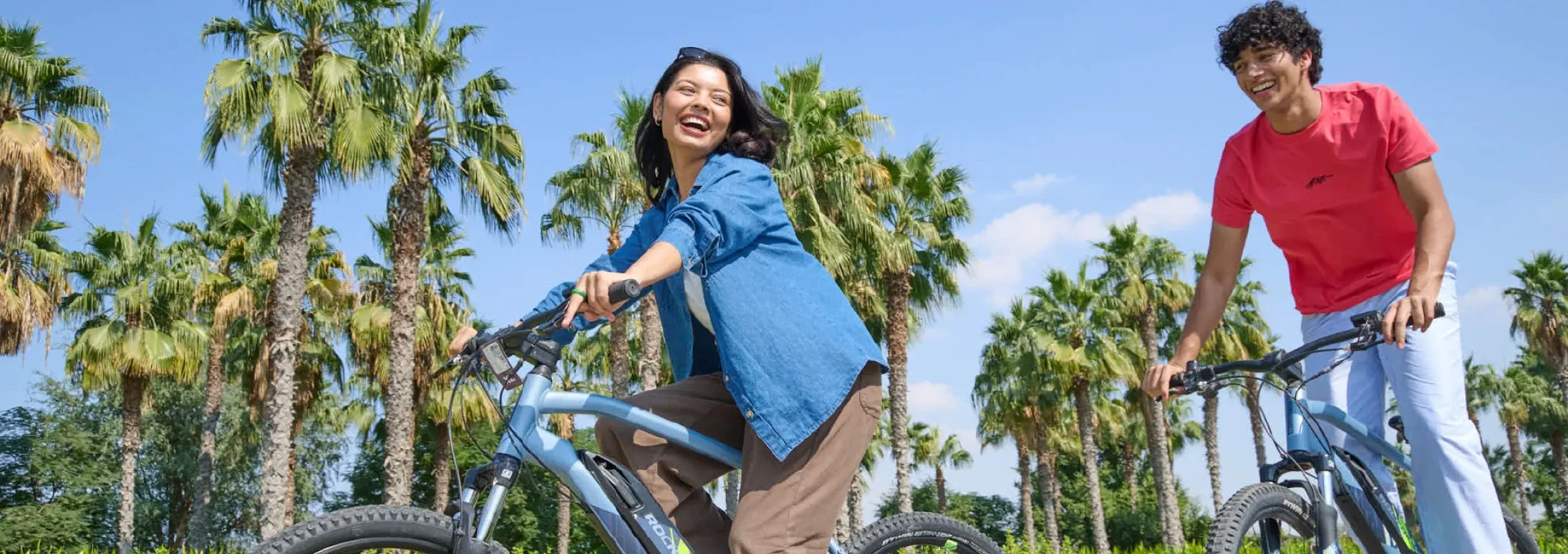 Details Pages Banner